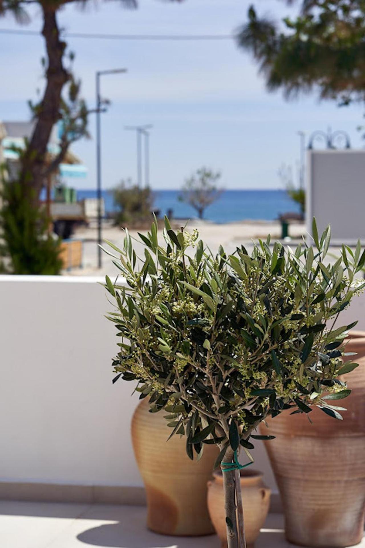 Sia Mare Seaside Apartments Faliraki Oda fotoğraf